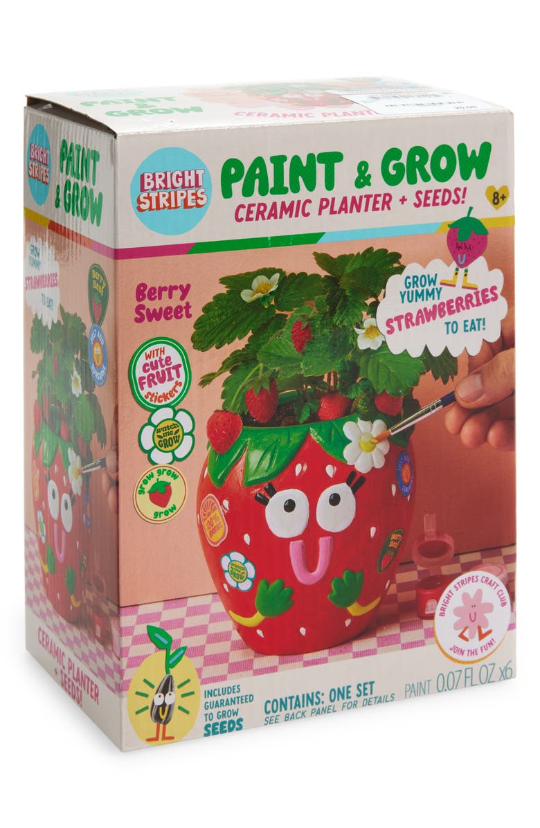 BRIGHT STRIPES Paint & Grow Strawberry Ceramic Planter & Seeds Set, Main, color, 