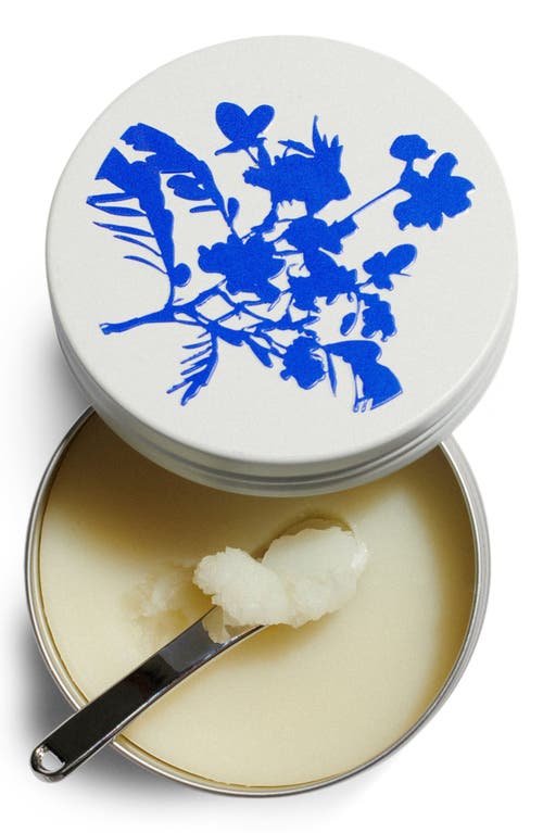 The Outset Botanical Barrier Rescue Balm In Transparent