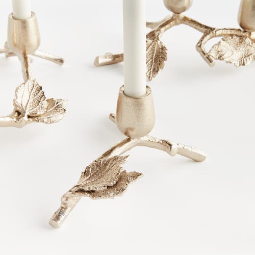Napa Home & Garden Parna Taper Candle Holders Set Of 6 In Gold