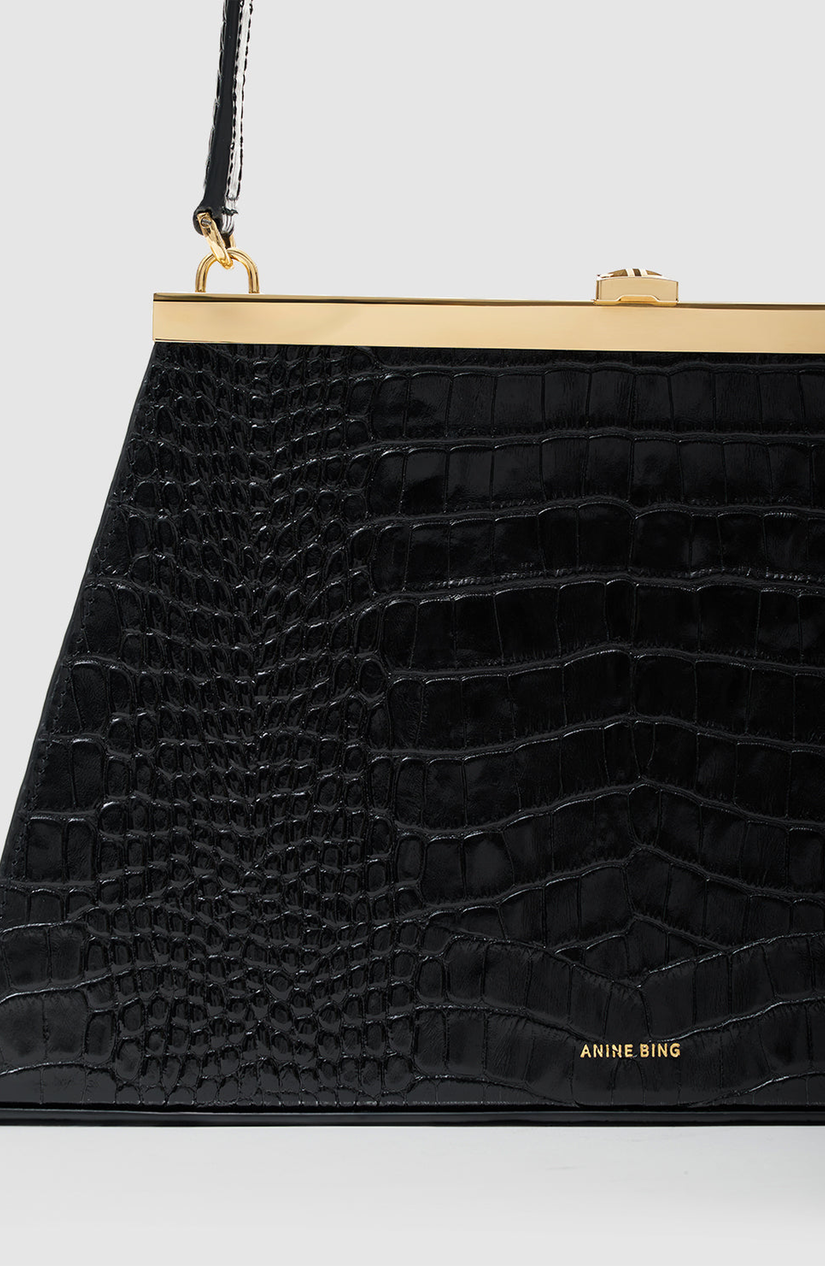 ANINE BING Anine Bag, Alternate, color, 