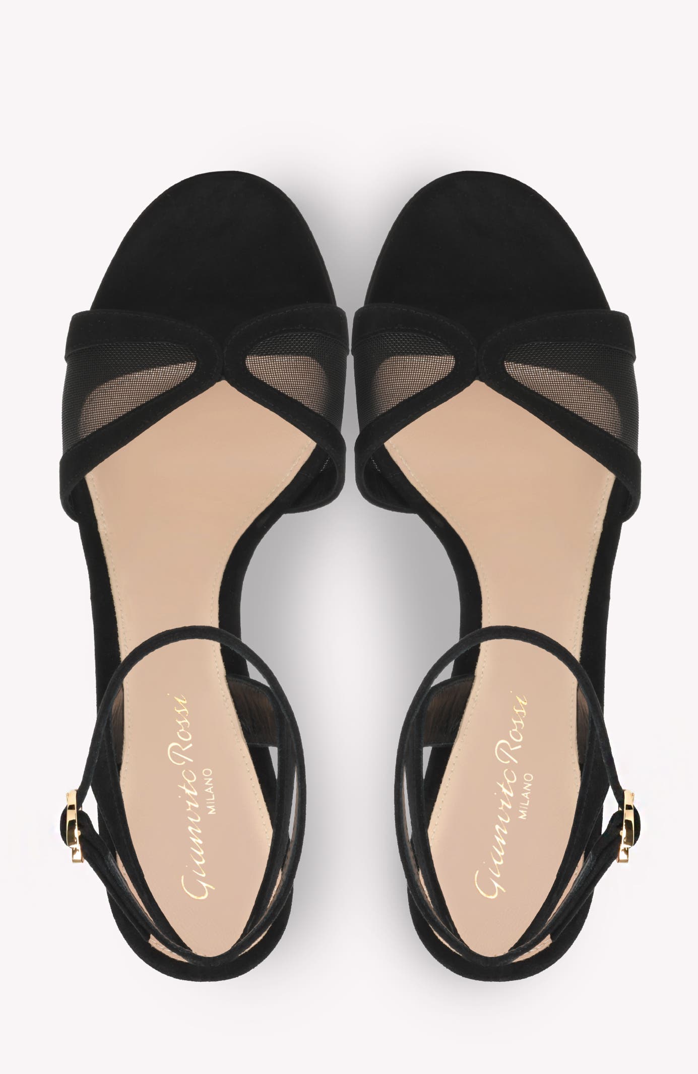 Gianvito Rossi Suede Platform, Alternate, color, Black Suede