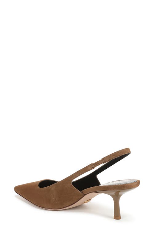 Veronica Beard Cashel Slingback Pointed Toe Pump In Brown