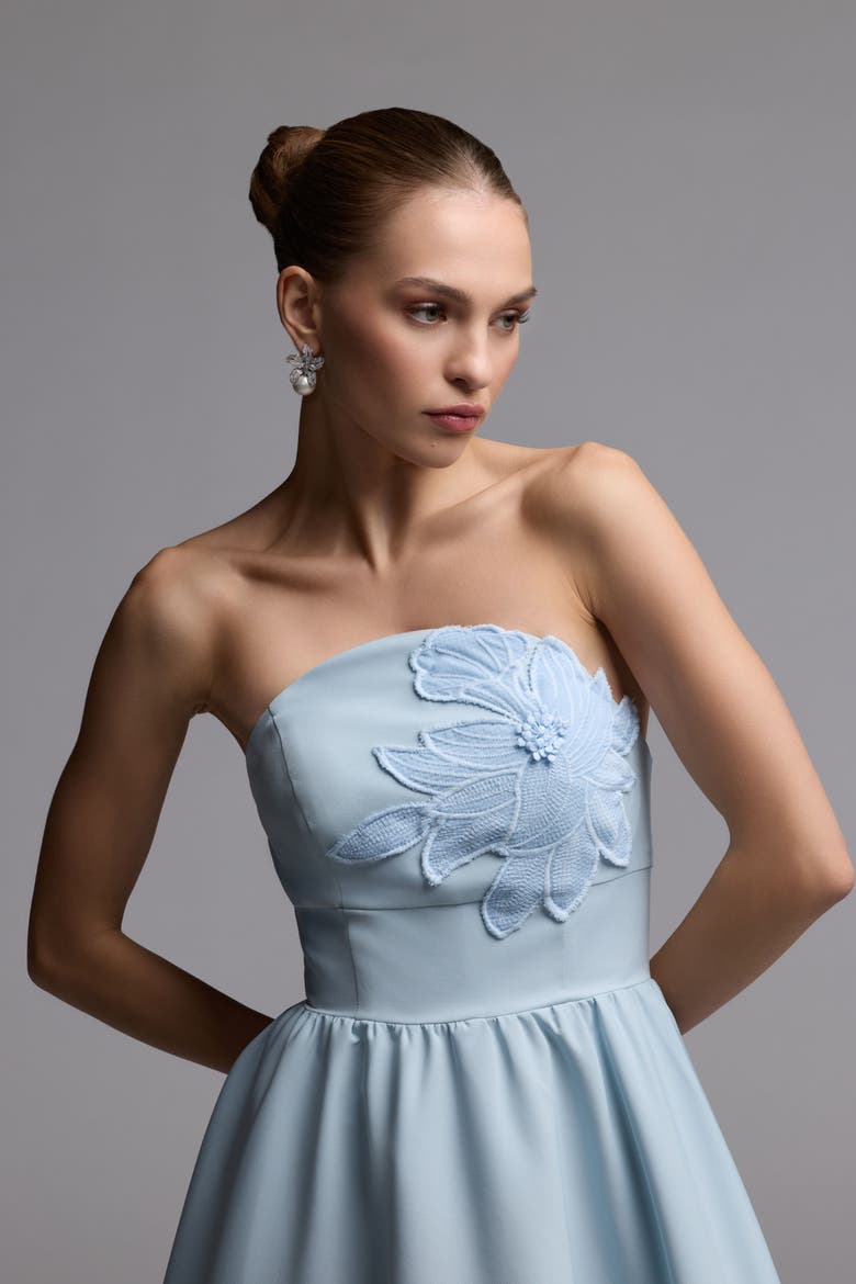 Lace Strapless A Line Midi Dress With 3D Flowers, Alternate, color, Powder Blue