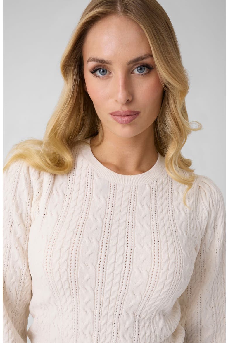 Joanna Cable Knit Sweater, Alternate, color, OPEN WHITE
