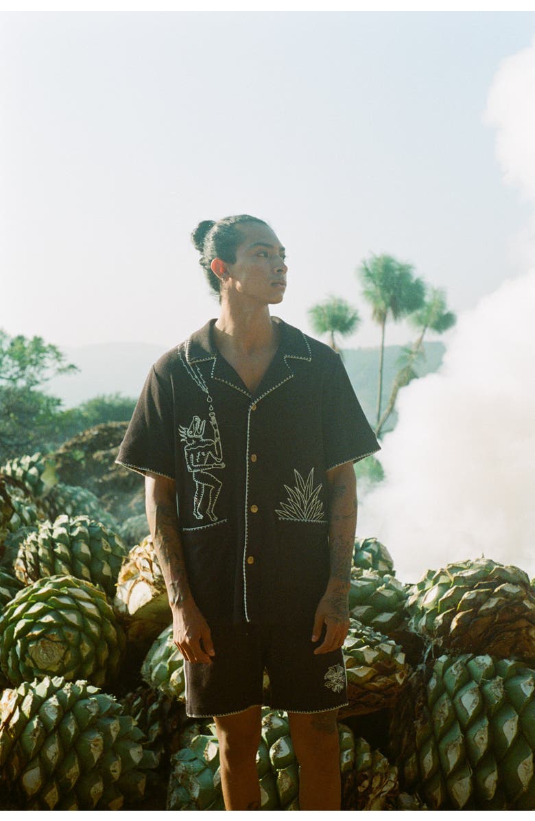 Tombolo 'Agua Mágica' Cabana Shorts, Alternate, color, 