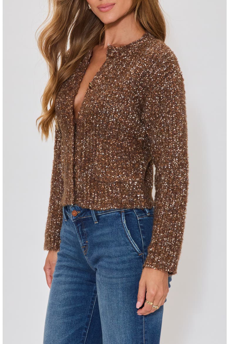 Toasty Cardigan, Alternate, color, BROWN