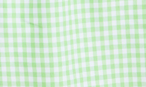 Polo Ralph Lauren Toddler And Little Boys Traveler Drawstring Waistband Swim Trunk In Classic Gingham Lime