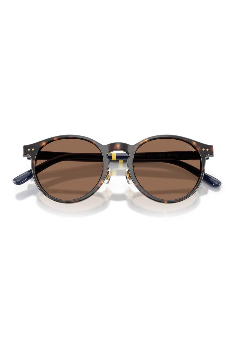 50mm Round Sunglasses, Alternate, color, SHINY DARK HAVANA / BROWN