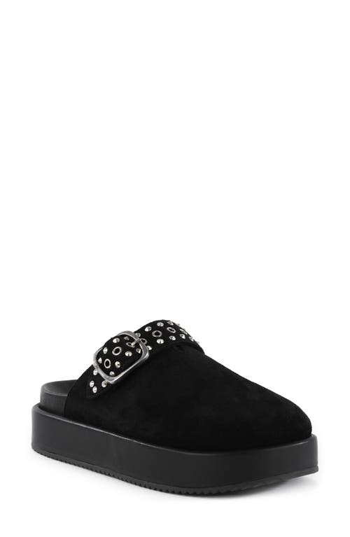 Seychelles Acclaim Clog In Black
