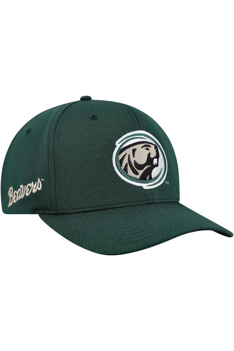 Men's Top of the World  Green Bemidji State Beavers Reflex Performance Flex Hat, Main, color, Green
