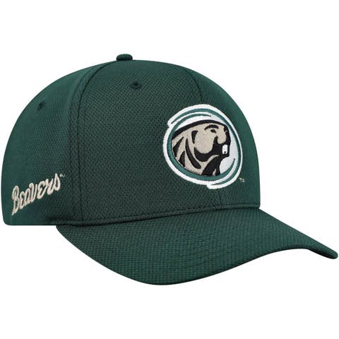 Men's Top of the World  Green Bemidji State Beavers Reflex Performance Flex Hat