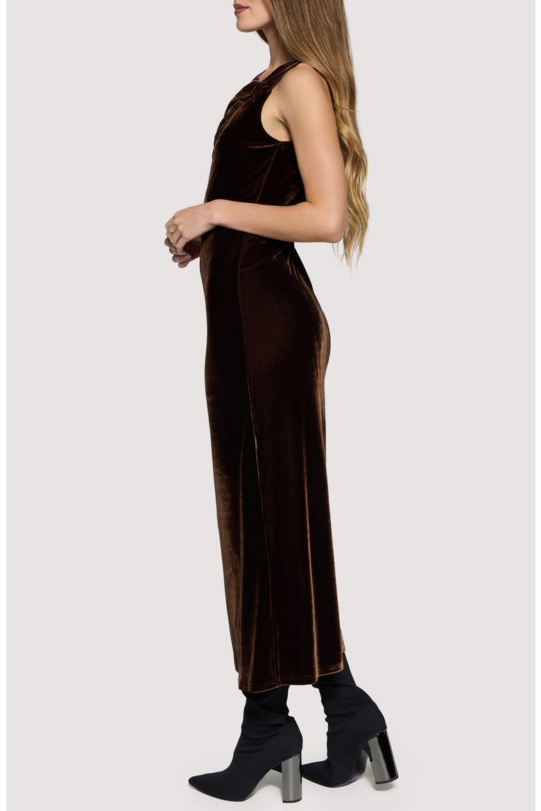 Woodland Hour Stretch Velvet Maxi Dress, Alternate, color, BROWN