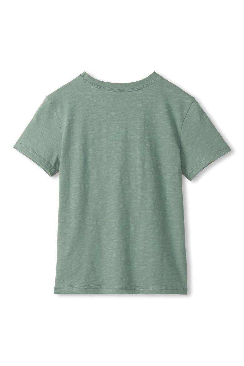 Kids' Fishing Lures Graphic T-Shirt, Alternate, color, GREEN