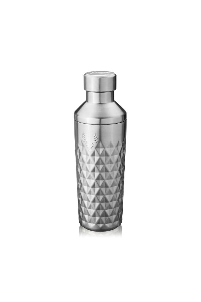 Paragon Stainless Steel Cocktail Shaker, Main, color, Platinum