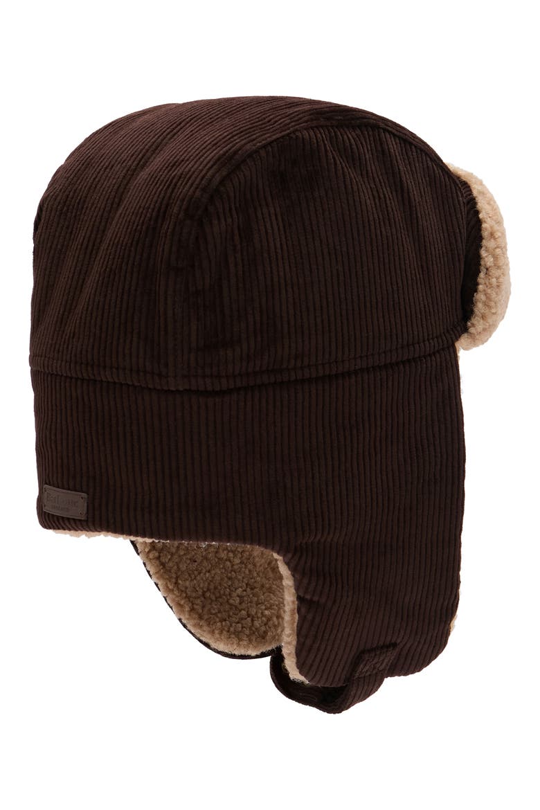 Westdale Corduroy Trapper Hat, Alternate, color, BROWN