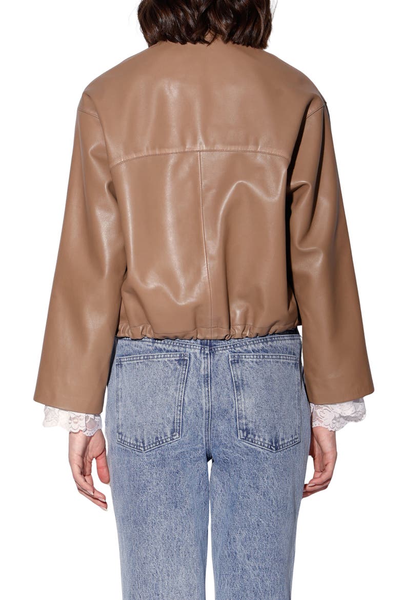 Roman Leather Jacket, Alternate, color, MOUSSE
