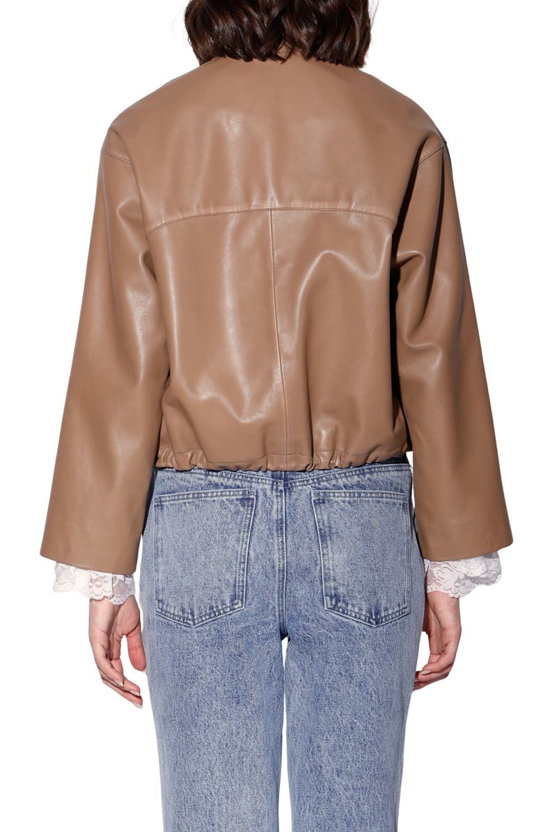 Walter Baker Roman Leather Jacket, Alternate, color, Mousse