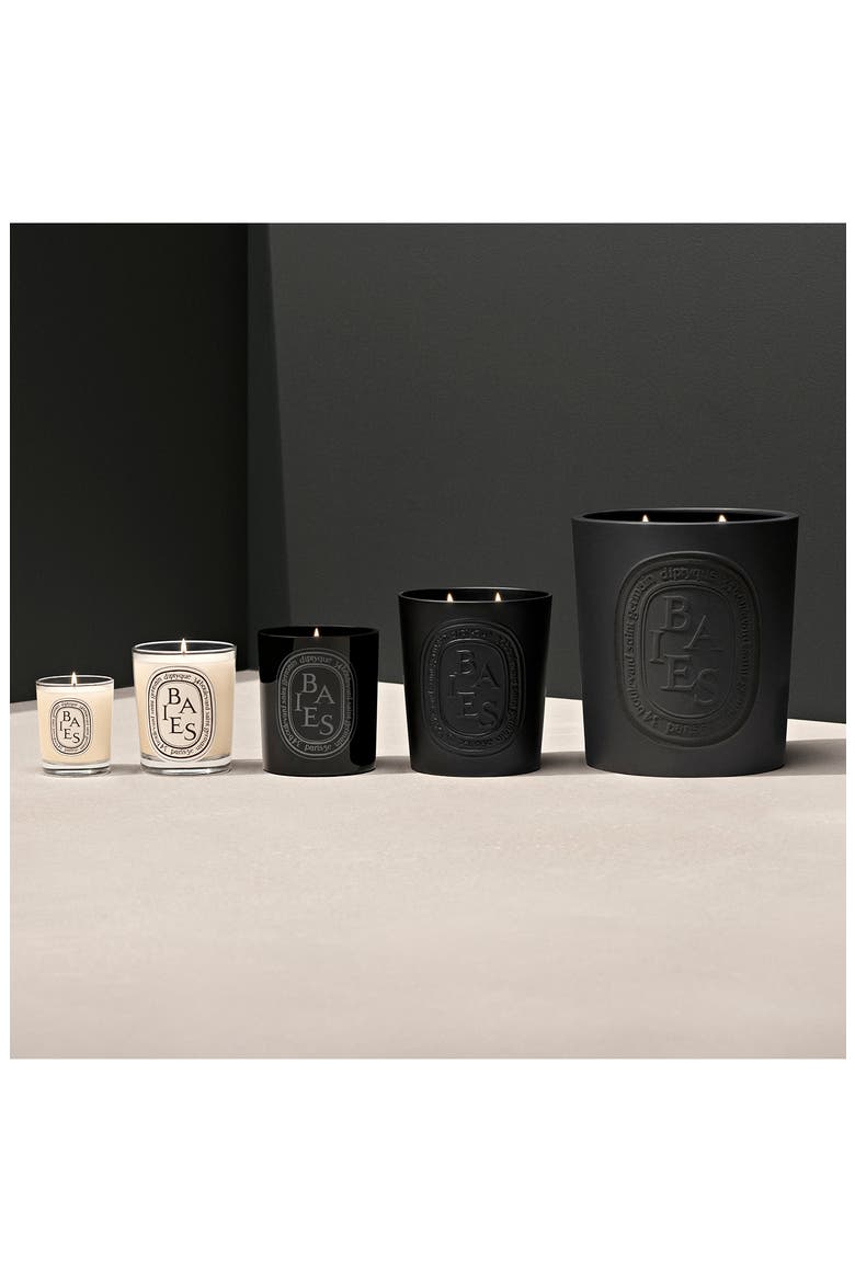 Baies (Berries) Large Scented Candle, Alternate, color, BLACK VESSEL