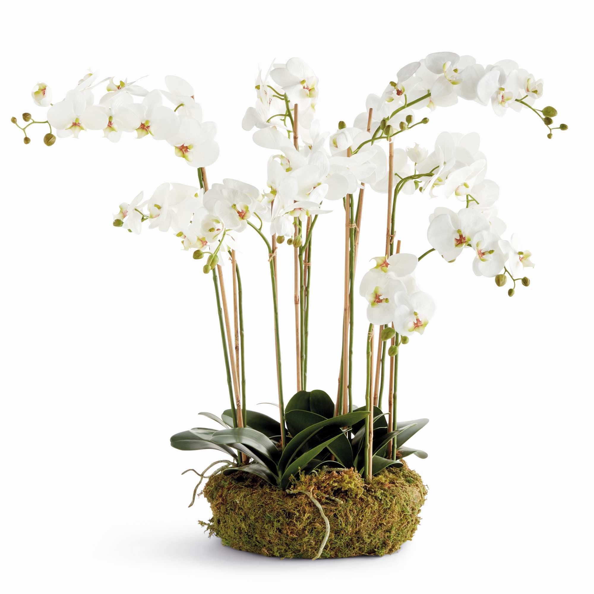 selected White