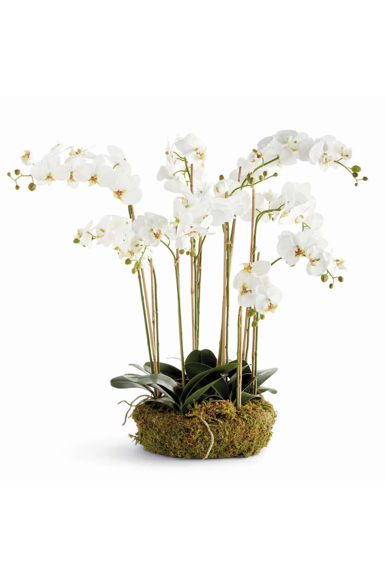Phalaenopsis Orchid Bowl Drop-In 35", Main, color, White