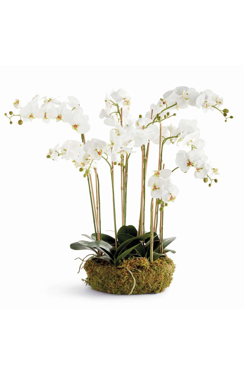 Napa Home & Garden Phalaenopsis Orchid Bowl Drop-In 35", Main, color, White