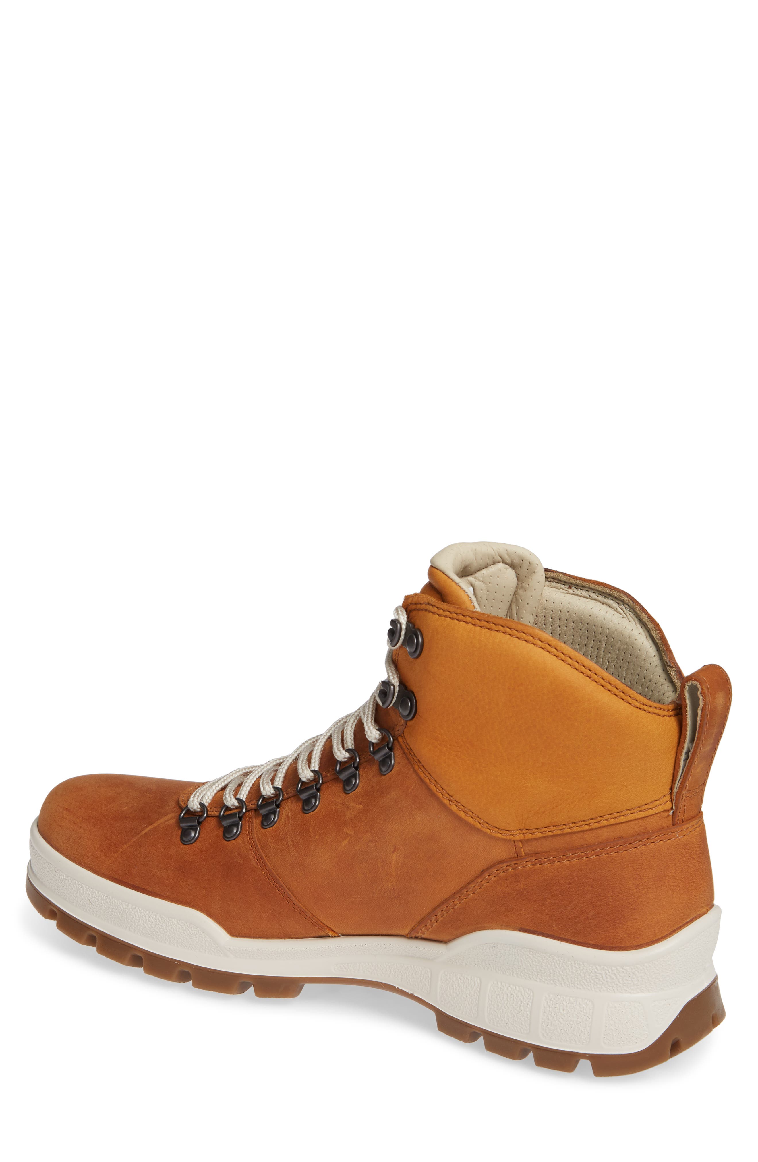 ECCO Track 25 HYRDOMAX<sup>®</sup> Boot, Alternate, color, 