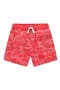 selected Jam Red Camper Van