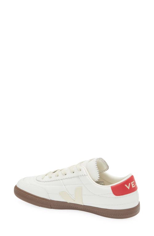 Shop Veja Panenka Sneaker In White Pierre