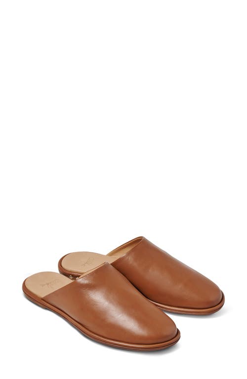Beek Seagull Mule In Brown
