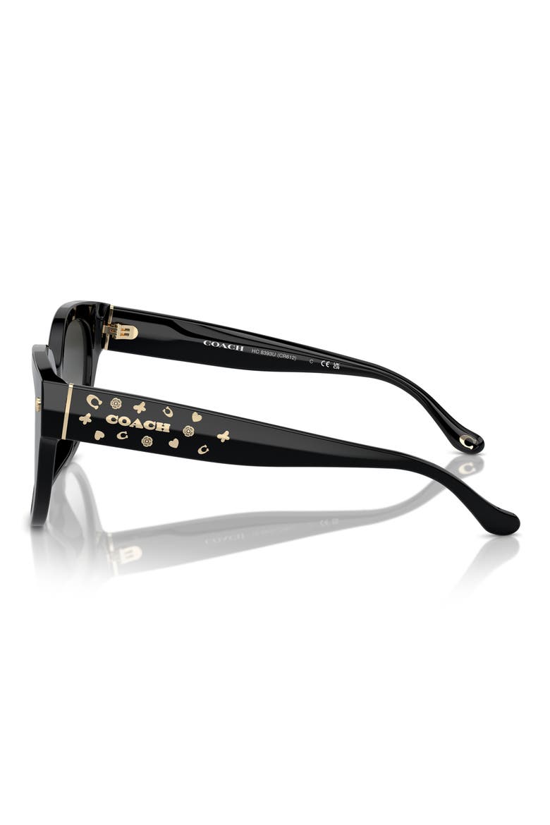 53mm Gradient Round Sunglasses, Alternate, color, BLACK