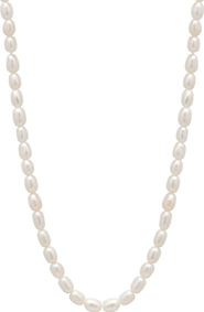 Spero London Natural Freshwater Real Seed Pearl Strand Necklace