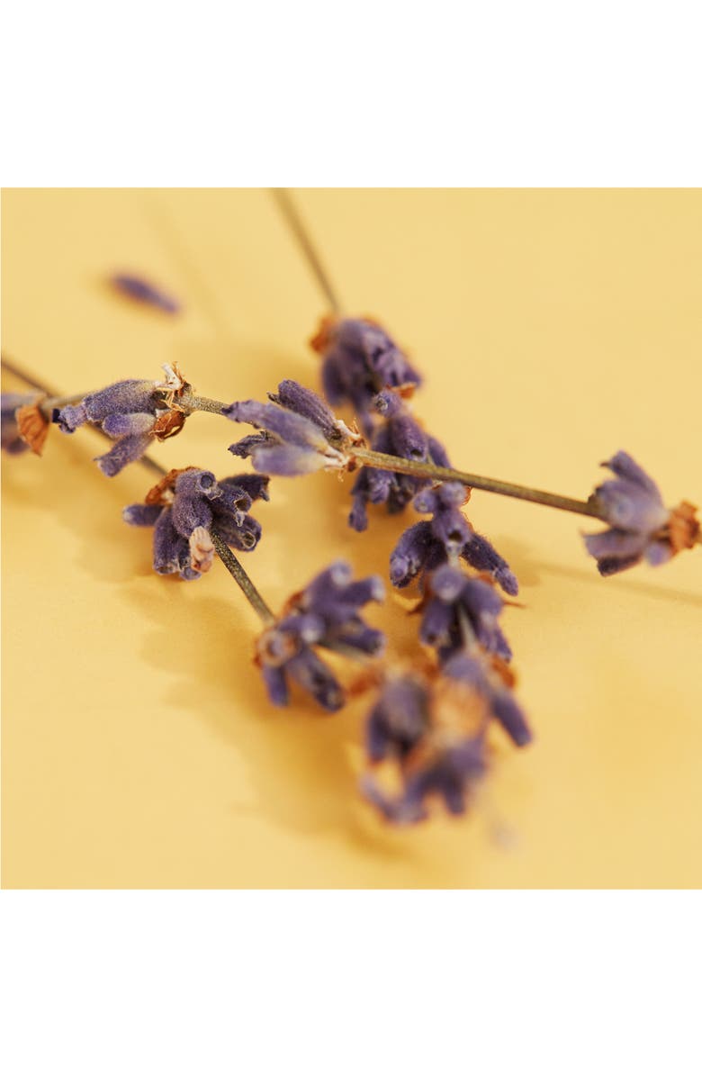 Gucci Guilty Love Eau de Toilette for Him, Alternate, color, 