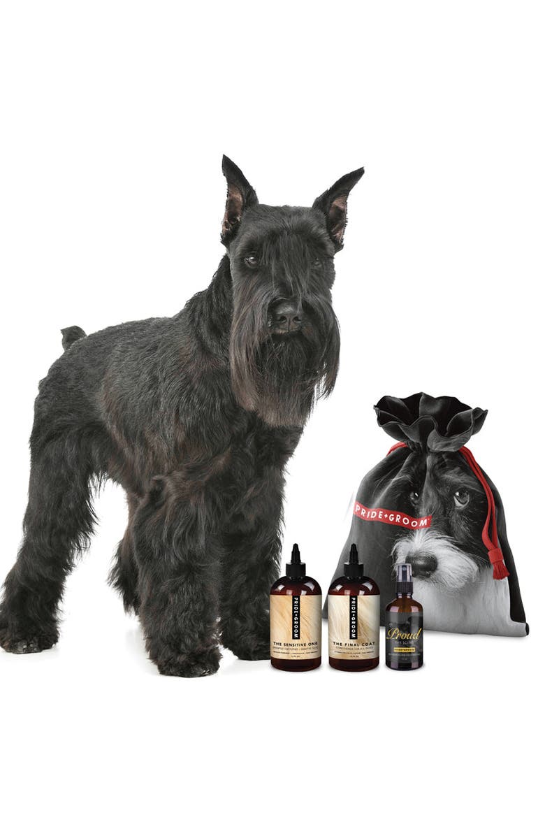 PRIDE+GROOM The Small Deluxe Doggy Bag, Alternate, color, The Sensitive One