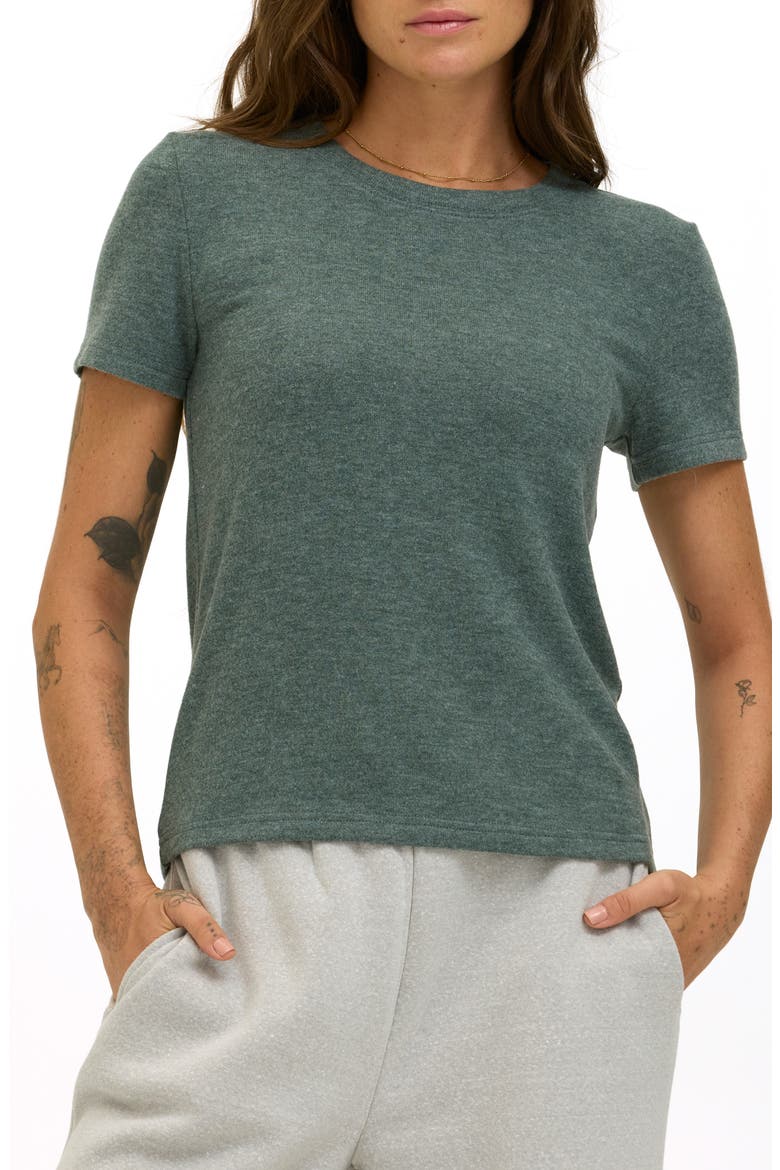 Gwenda Crewneck T-shirt, Main, color, ALPINE