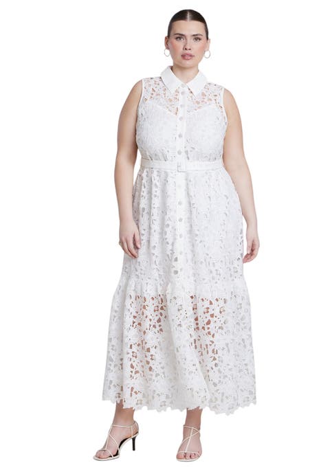 Lace Dress With Buttons & Collar