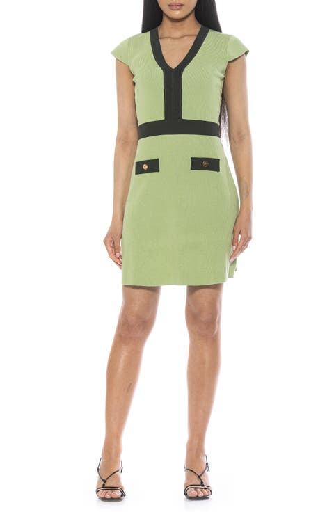 Rhea Contrast Detail Knit Dress