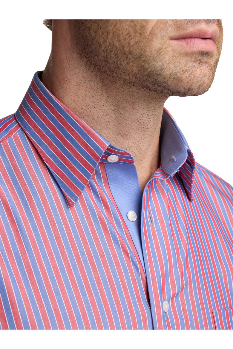 Cotton Buttondown Collar Broadcloth Classic Contrast Trim Button Cuff Long Sleeve Shirt, Alternate, color, Blue/Red