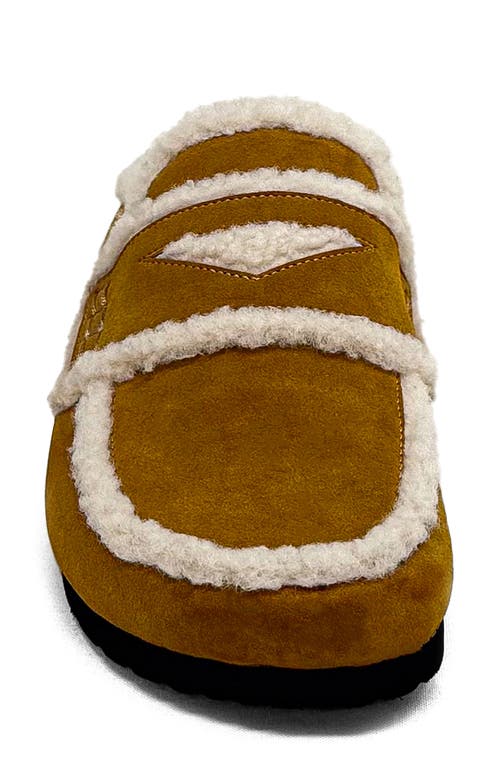 Shushop Tanya Loafer Mule In Multi