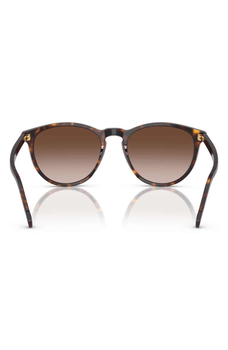 VOGUE 53mm Phantos Sunglasses, Alternate, color, Dark Havana