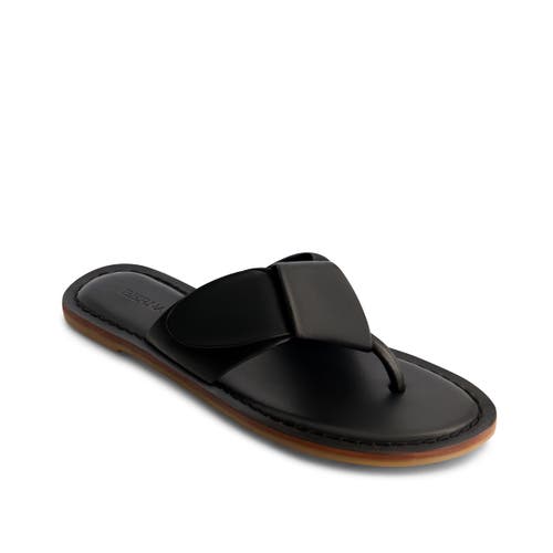 BERNARDO FOOTWEAR BERNARDO FOOTWEAR LAIA THONG SANDAL 