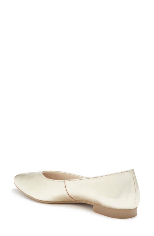 Paul Green Tia Pointed Flat