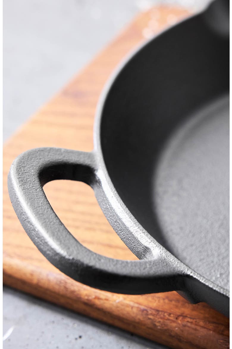 x Bobby Flay 10" Cast Iron Frypan, Alternate, color, BLACK
