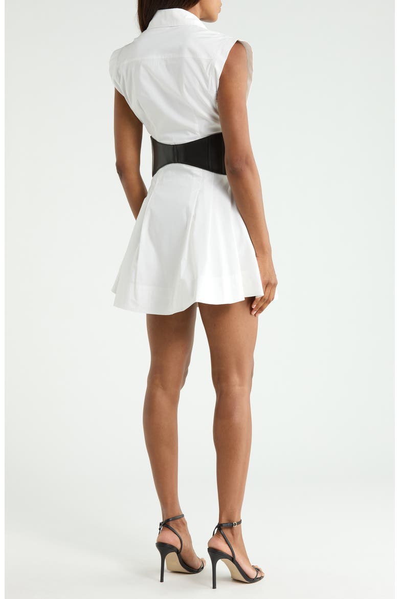 Adler Belted Shirtdress, Alternate, color, WHITE