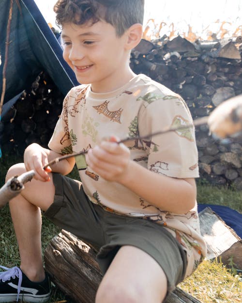 Deux Par Deux Little Boy's Printed Organic Cotton Tee Camping Beige In Camping Beige