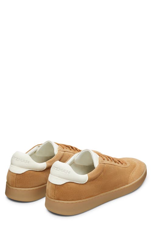 Stuart Weitzman Banner Sneaker In Biscotto/white Bianco