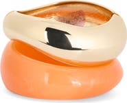 Panacea Set of 2 Resin & Goldtone Bangles