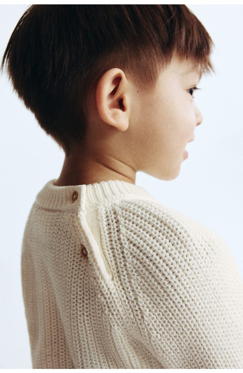 H&M Motif-detail Jumper, Alternate, color, Cream/Animals