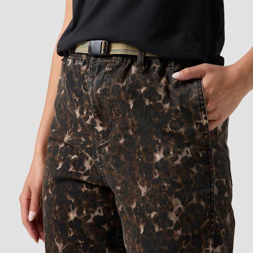 Backcountry Venture Daily Pant In Brown