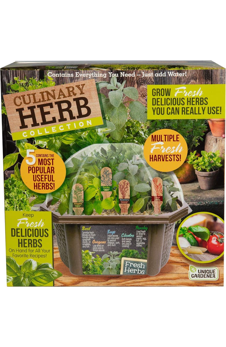 Unique Gardener Culinary Herb Collection Biosphere Terrarium, Main, color, Clear