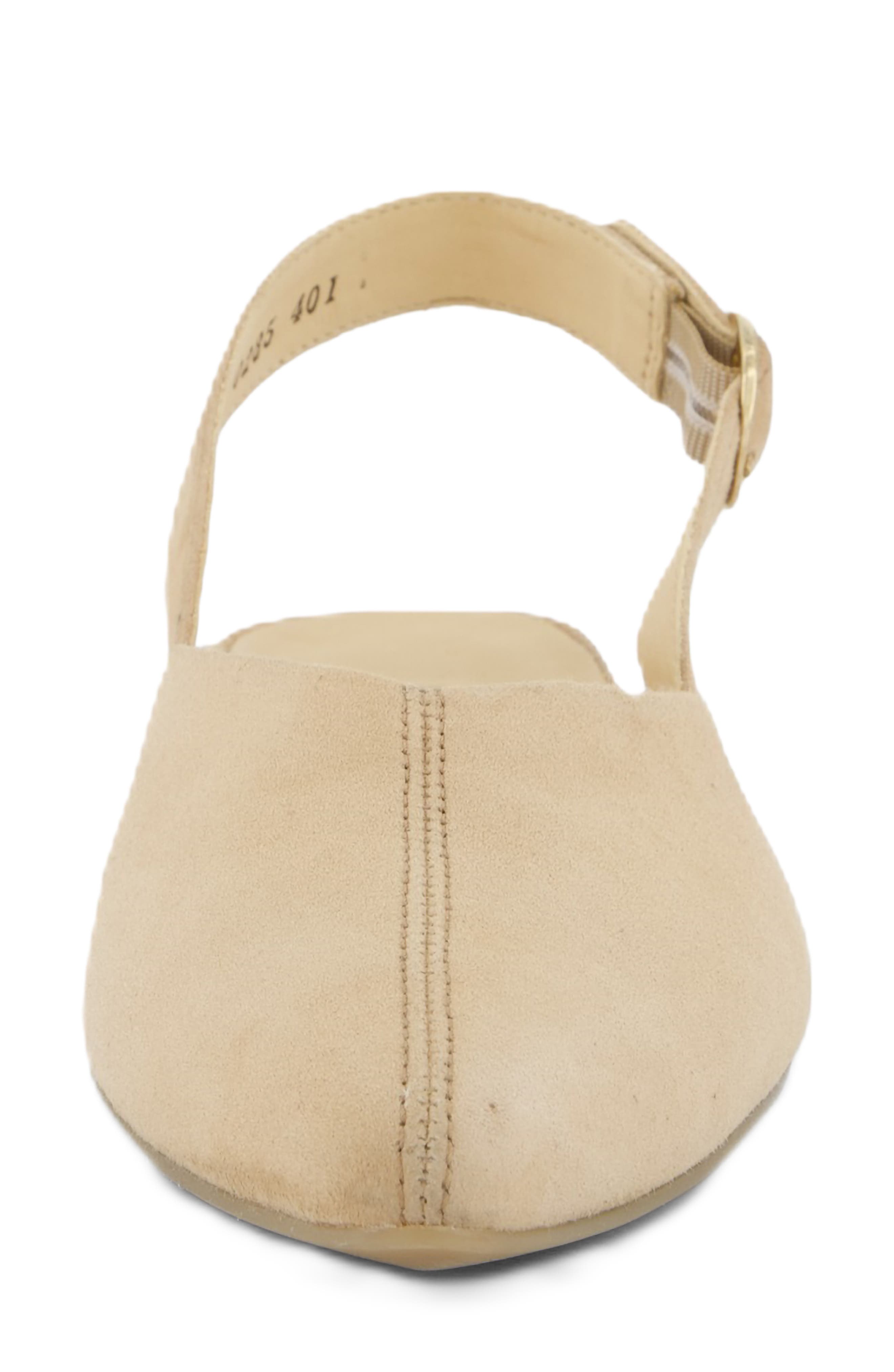 Aladdin Slingback Point Toe Flat, Alternate, color, DAKAR SUEDE